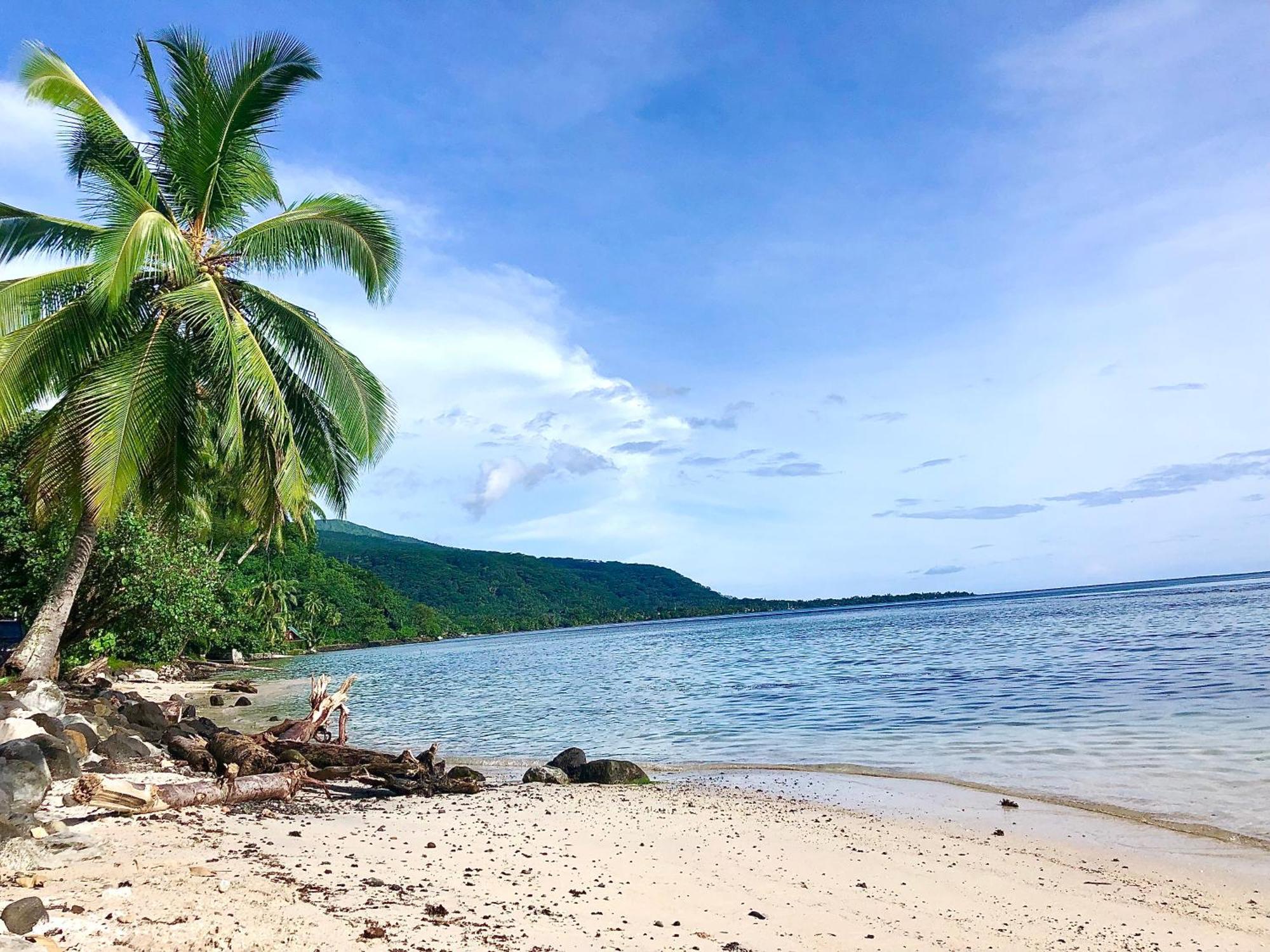 Maui Homestay Vue Ocean Exceptionnelle & Baleines En Saison Tohautu Bagian luar foto