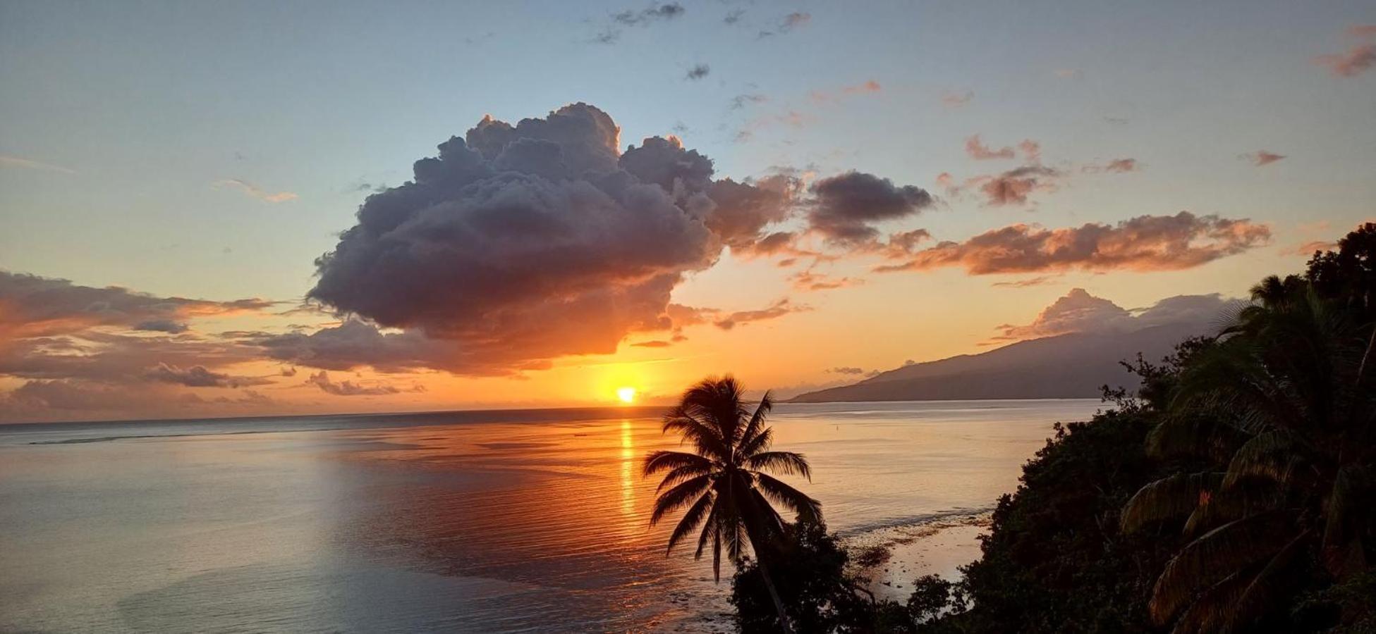Maui Homestay Vue Ocean Exceptionnelle & Baleines En Saison Tohautu Bagian luar foto